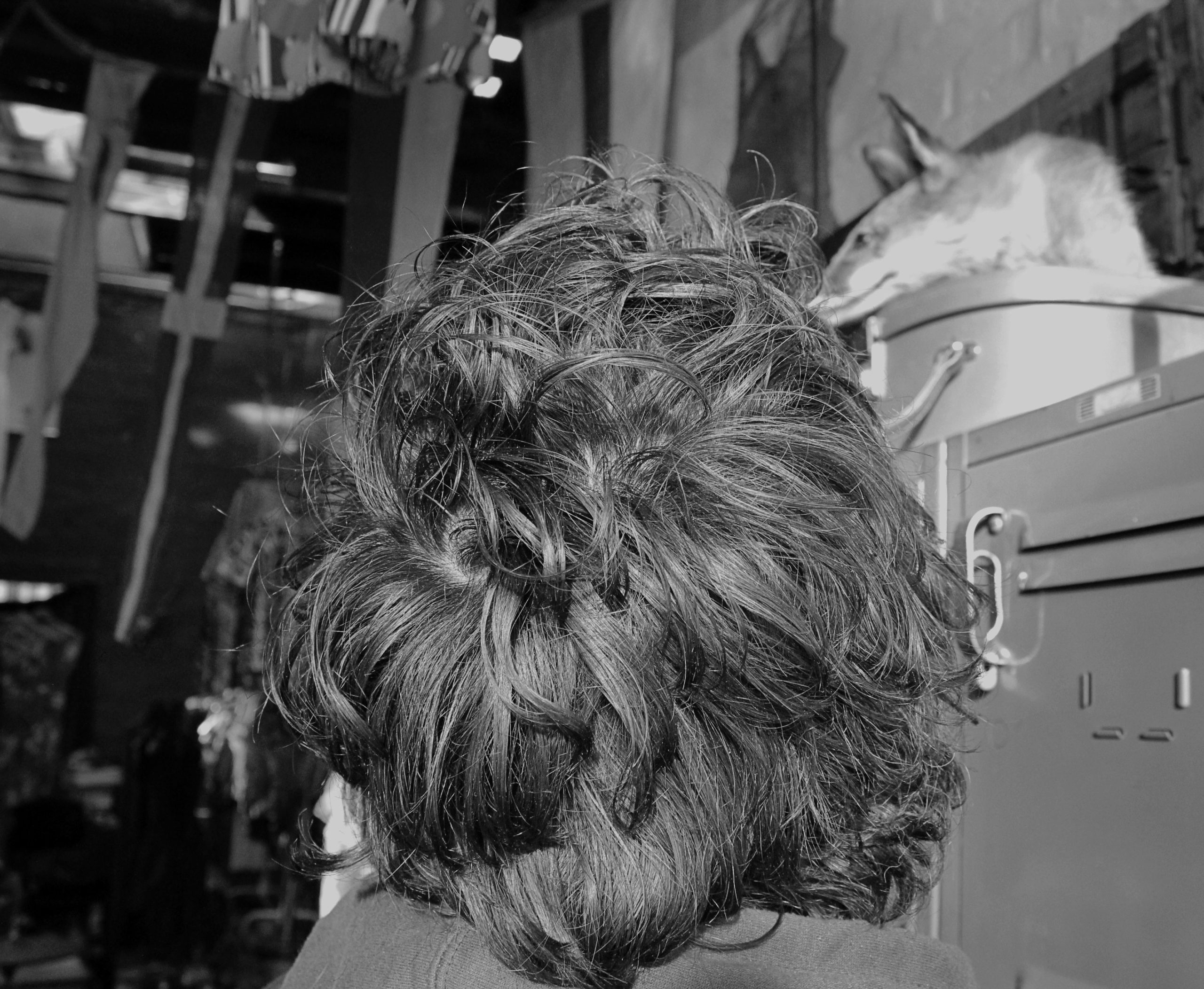 Joseph, Melbourne 2012