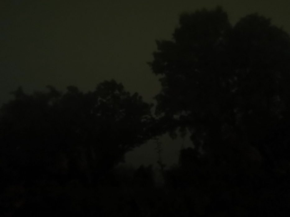 IMG_20211101_230727